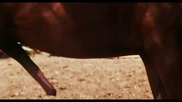 誰かとしてのベネズエラの人々 女性 が 見る エッチ ビデオ